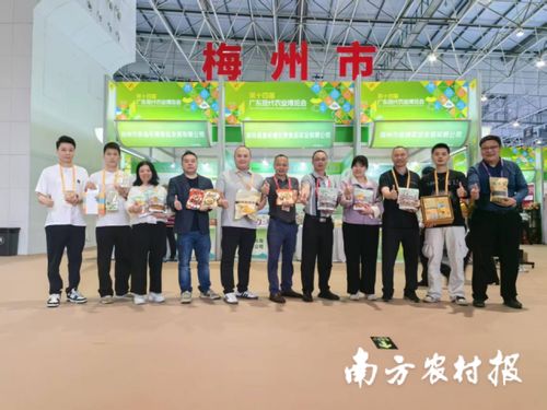 智創(chuàng)未來，AI賦能 蕉嶺毛竹品牌煥新，實業(yè)公司引領(lǐng)產(chǎn)業(yè)升級